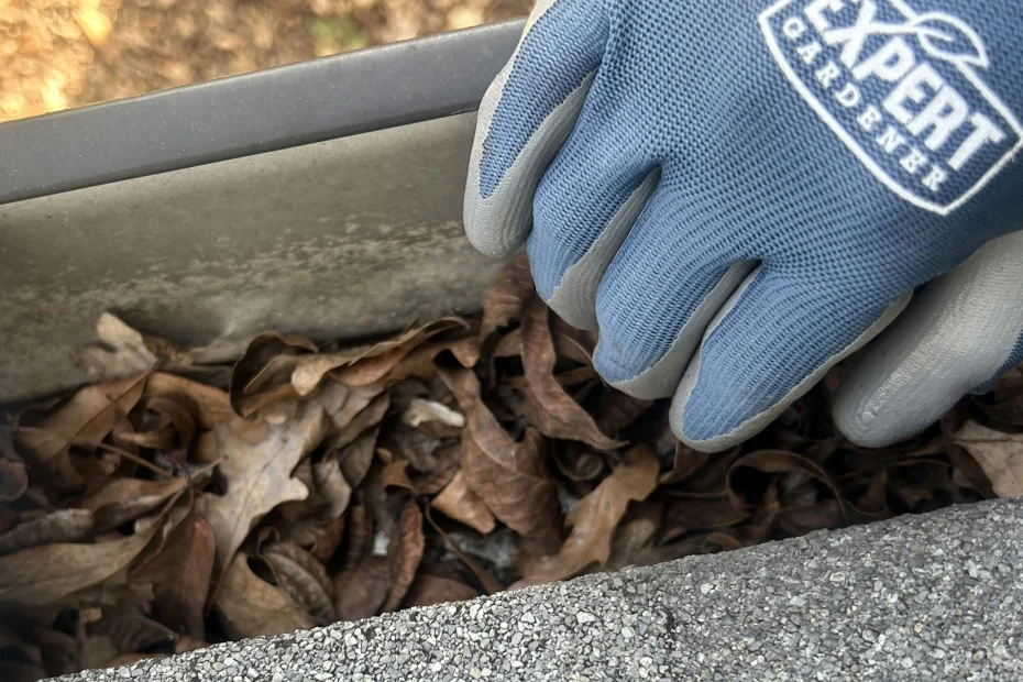 Gutter Cleaning Catasauqua