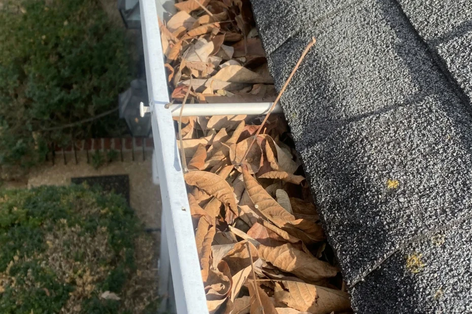 Gutter Cleaning Catasauqua