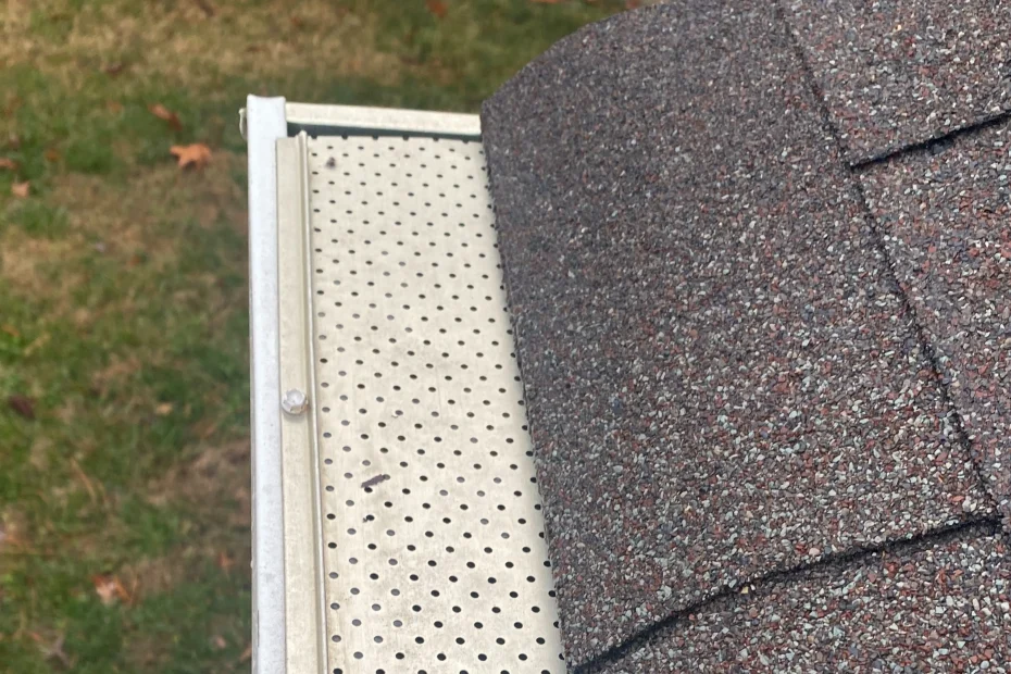 Gutter Cleaning Catasauqua