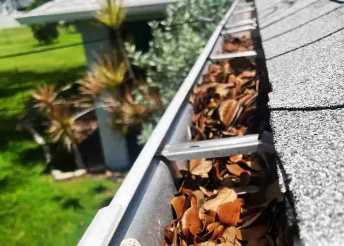 Gutter Cleaning Catasauqua home page